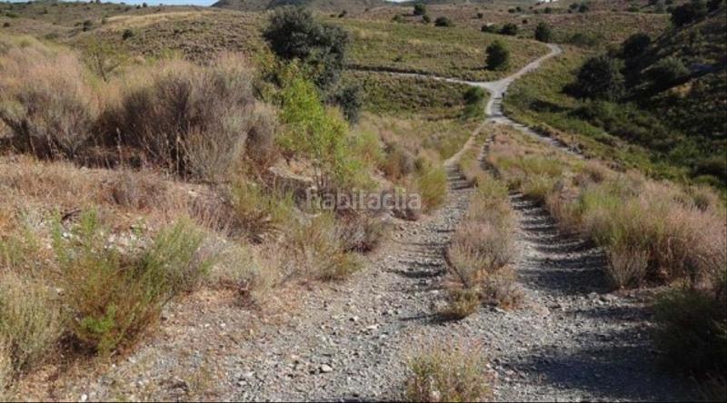 Foto 050fa5e6-0b99-407f-9c59-30da876d0659. Finca rústica a Zarzalico Lorca