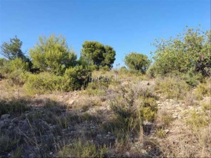 Foto 68d335d2-a60a-46e9-9971-8194065478b5. Finca rústica a Pla dels Aljubs Pobla de Vallbona (la)