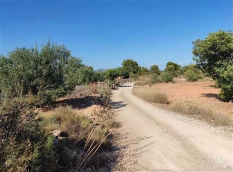 Foto fa07a5d2-d21d-49a5-a7d7-4055de4b2fe1. Finca rústica a Pla dels Aljubs Pobla de Vallbona (la)
