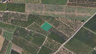 Finca rústica  Paraje montiver. Solvia inmobiliaria  suelo rústico saguntosagunt