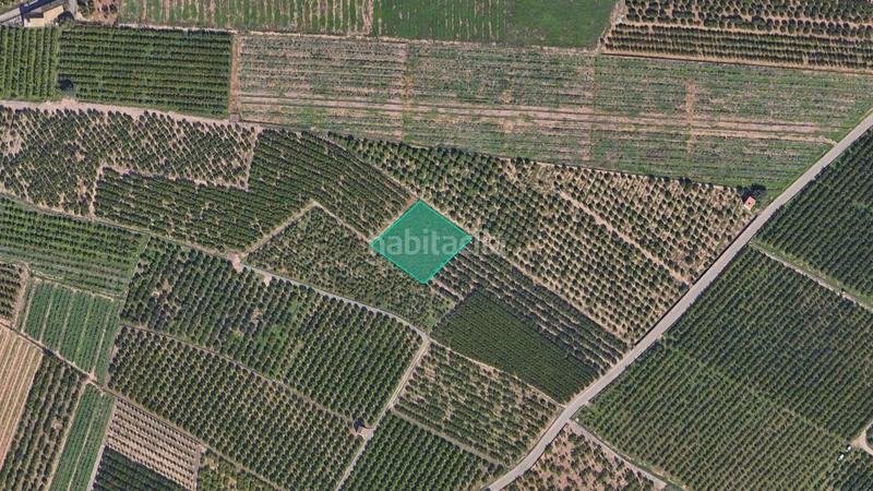Foto 8e5c7d86-2be5-4d96-ab45-f4e08ac39355. Finca rústica a El Baladre Sagunt