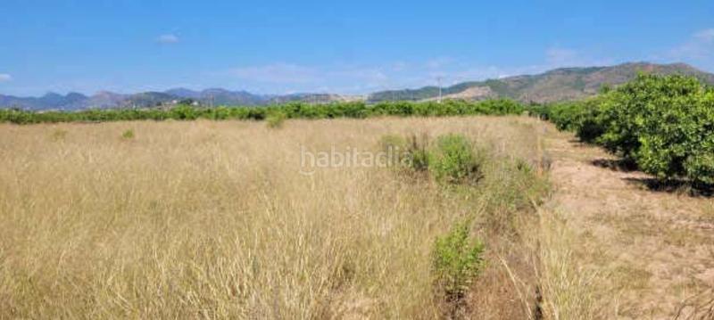 Foto a737868a-39cb-47d6-be55-dc2db26c4c23. Finca rústica a El Baladre Sagunt