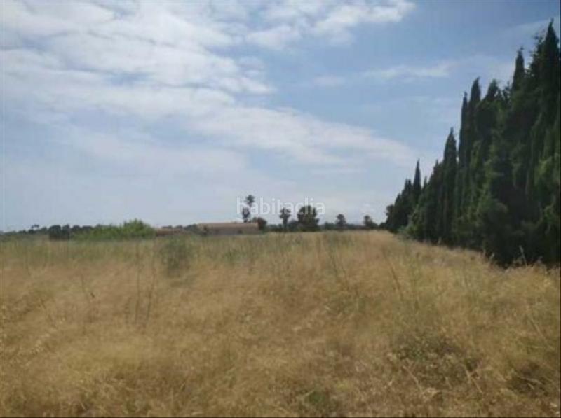 Foto 15588e9c-c163-4d19-ab33-a5b37318b2fb. Fondo rustico in Costa Norte Vinaròs