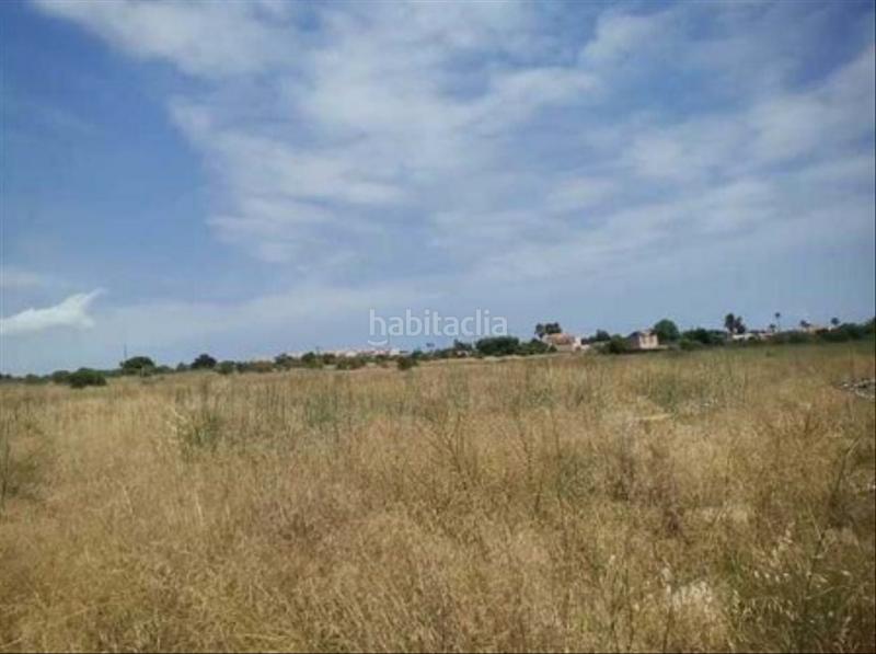 Foto a6309424-5290-40f1-83e5-571e2f07fe4a. Fondo rustico in Costa Norte Vinaròs