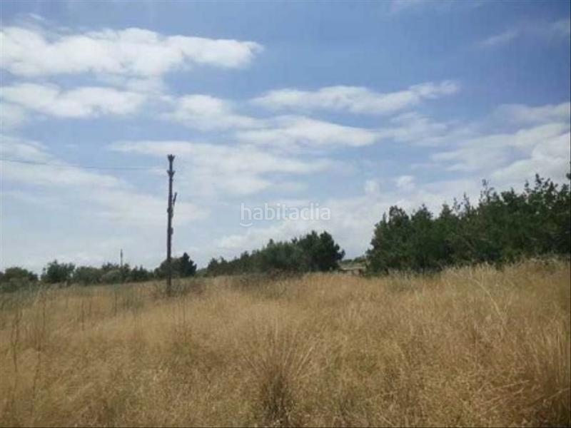 Foto f742a67c-2fdf-41bf-ad96-25ebdf106658. Fondo rustico in Costa Norte Vinaròs