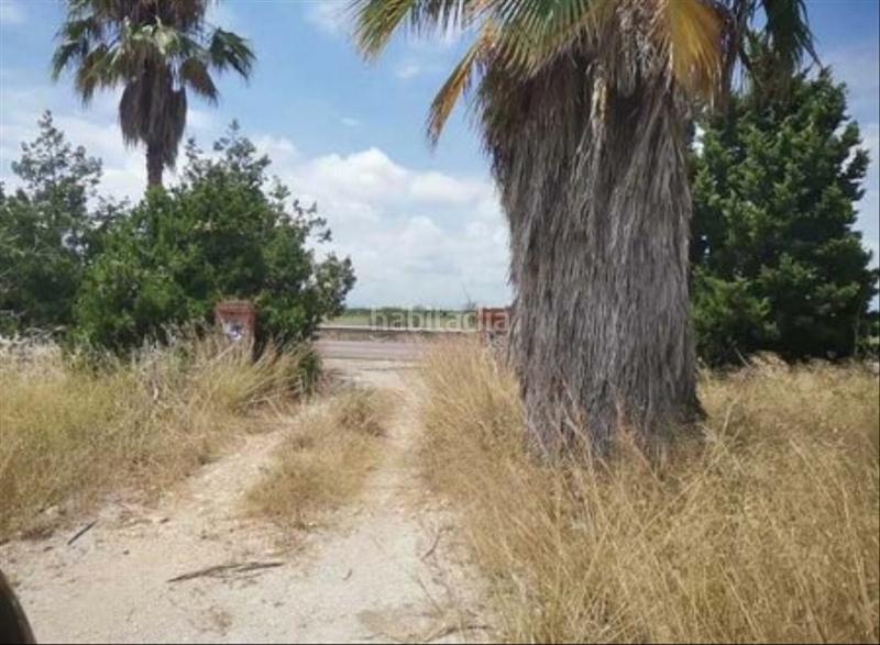 Foto f75df9d6-4f50-4532-8a79-6fab6caf2a86. Fondo rustico in Costa Norte Vinaròs