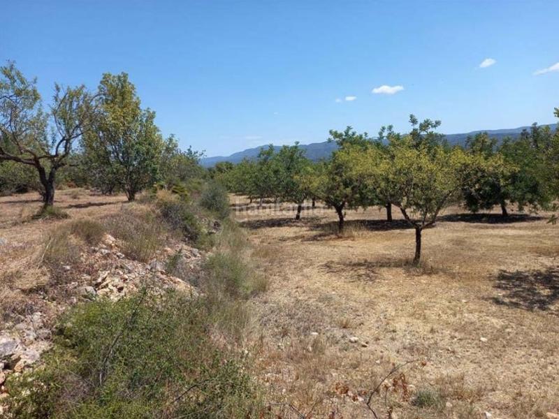 Foto 29a066a1-ef70-44ae-b716-808a25434686. Finca rústica solvia inmobiliaria terreno con edificación coves de vinromà les en Coves de Vinromà (les)