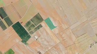 Rural plot  Paraje charquillos - el carche. Solvia inmobiliaria  suelo rústico yecla