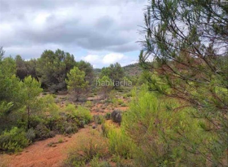Foto a23819f8-a8a8-42c0-ac19-99f7d5f6d88e. Finca rústica a Estivella