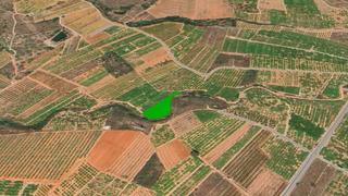 Finca rústica  Partida de la murta. Solvia inmobiliaria  suelo rústico vall duixó la