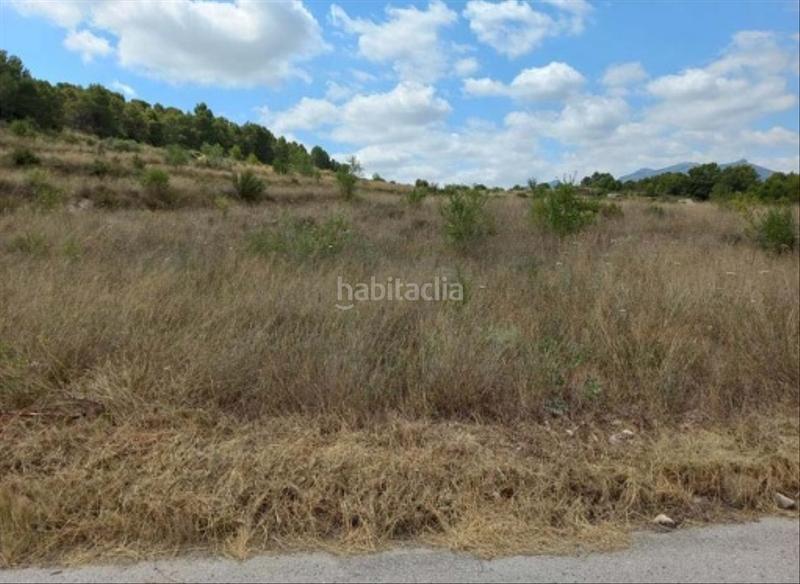 Foto bf54c4a0-5403-44ef-9dd4-3ed2ded165af. Fondo rustico in Pliego