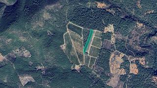 Propriété  Partida sanchils. Solvia inmobiliaria  suelo rústico alcora l