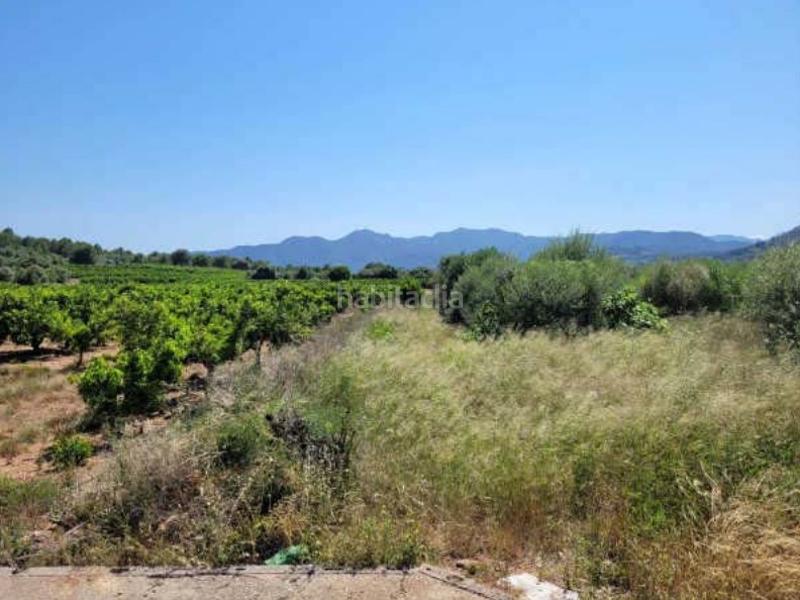Foto 9dab9dc5-e15f-4e5c-bb99-e7bc36dd7181. Finca rústica solvia inmobiliaria suelo rústico en Betxí