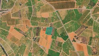 Propriété  Partida bobalar pilares. Solvia inmobiliaria  suelo rústico betxí