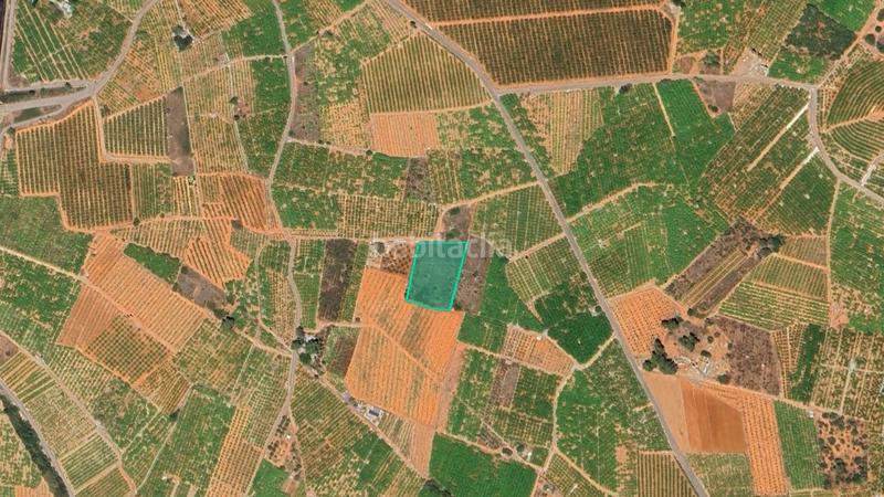 Foto e136416f-d365-481d-847f-2ecebe499452. Finca rústica solvia inmobiliaria suelo rústico en Betxí