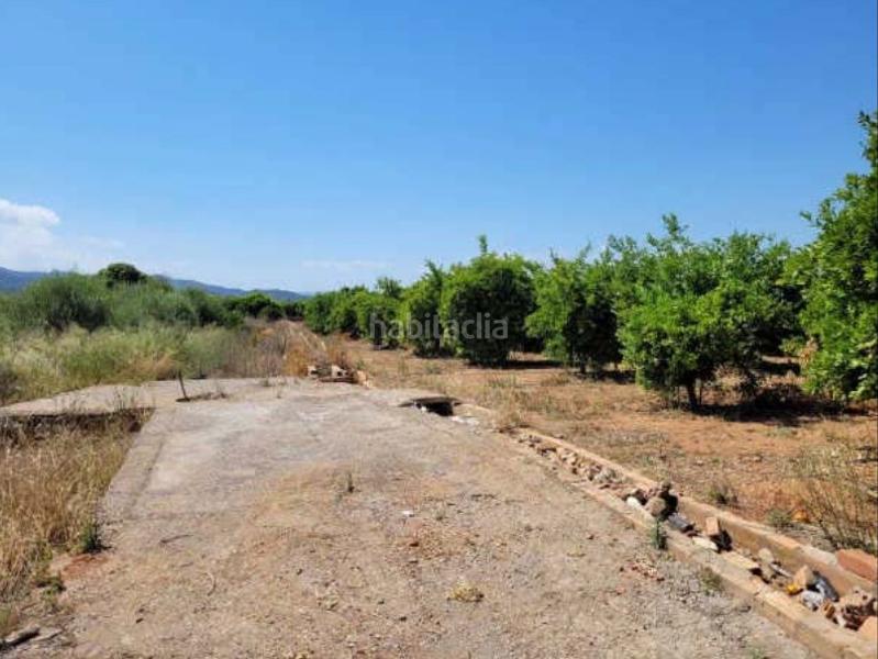 Foto f92d5cca-6c66-4ff0-9bfe-b3a232609987. Finca rústica solvia inmobiliaria suelo rústico en Betxí