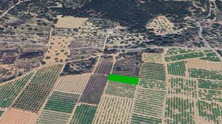 Finca rústica  Pt casalet, pol 7. Solvia inmobiliaria  suelo rústico saguntosagunt