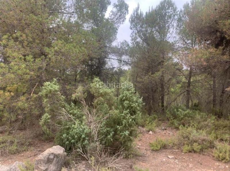 Foto 20db21e0-a06c-45d4-8371-9838aa763abf. Finca rústica solvia inmobiliaria suelo rústico en Utiel