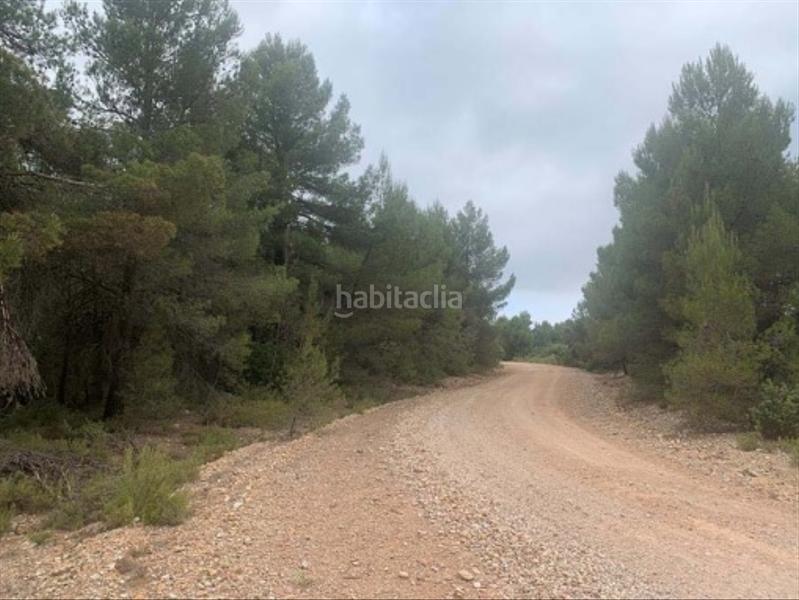 Foto 2419cc5a-b625-4b5a-96c3-bfcb5942075e. Finca rústica solvia inmobiliaria suelo rústico en Utiel