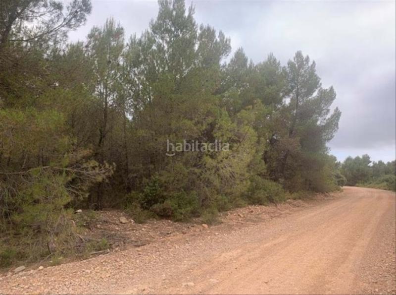 Foto 7abe7f58-036a-4b3e-ae56-e1765b4e0df5. Finca rústica solvia inmobiliaria suelo rústico en Utiel