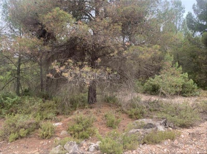 Foto 96b7eb64-3d58-464e-b18d-2bd306393279. Finca rústica solvia inmobiliaria suelo rústico en Utiel