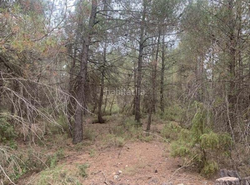 Foto 9d0b56a9-dee4-47fb-bd41-557a9a77c0af. Finca rústica solvia inmobiliaria suelo rústico en Utiel