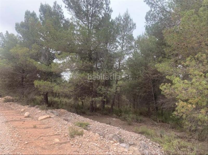 Foto cfd03d8f-b967-4d8a-821d-9577a185402a. Finca rústica solvia inmobiliaria suelo rústico en Utiel