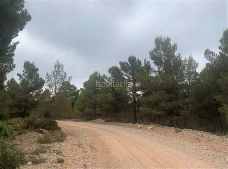 Foto e9e2c639-6611-4b59-90c8-75ac0b9a9091. Finca rústica solvia inmobiliaria suelo rústico en Utiel