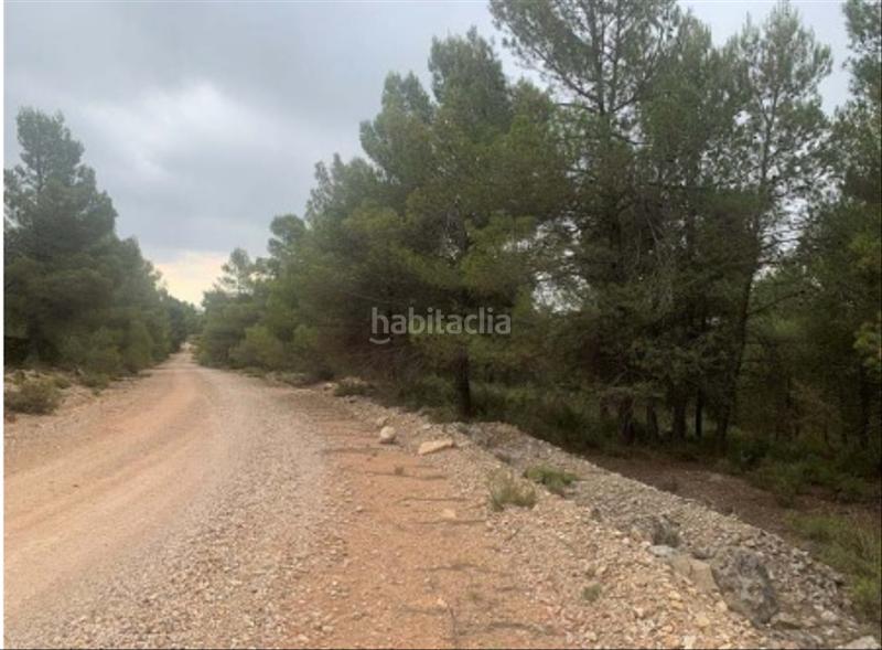 Foto f2f3233d-8b43-4abf-8eca-716699cf5ec8. Finca rústica solvia inmobiliaria suelo rústico en Utiel