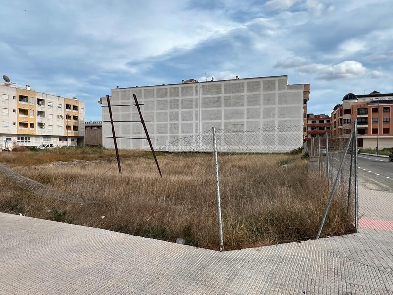 Foto 5f61a0d5-841d-4c4b-9e38-0e8e9f3bc5f9. Finca rústica solvia inmobiliaria solares en Almoradí