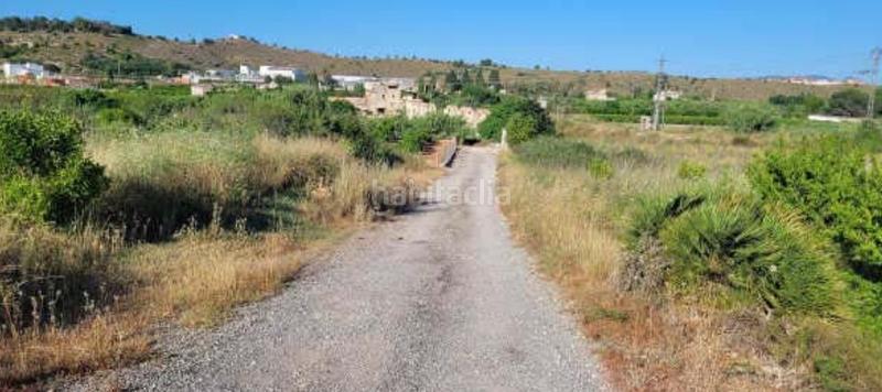 Foto 3c764934-d361-436b-9e51-70471fd404fd. Finca rústica solvia inmobiliaria suelo rústico en Manuel