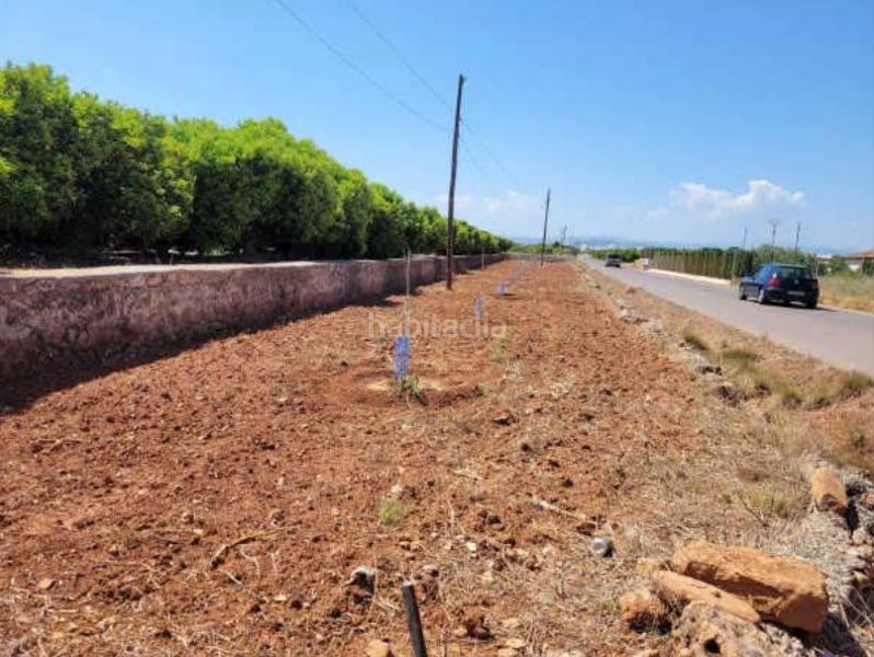 Foto 057c8519-d209-423b-ba43-a5210228b2b4. Landgut in Betxí