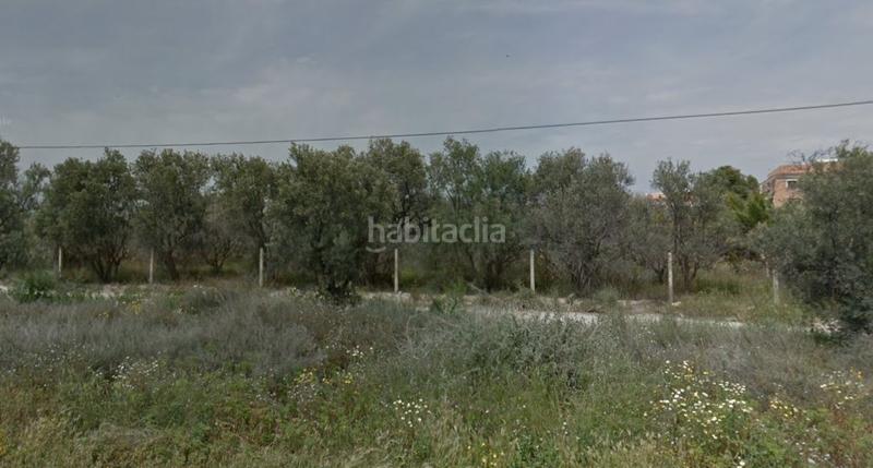 Foto 549491c5-593d-4adb-a2c8-d838b04ceac9. Fondo rustico in Centro Mutxamel