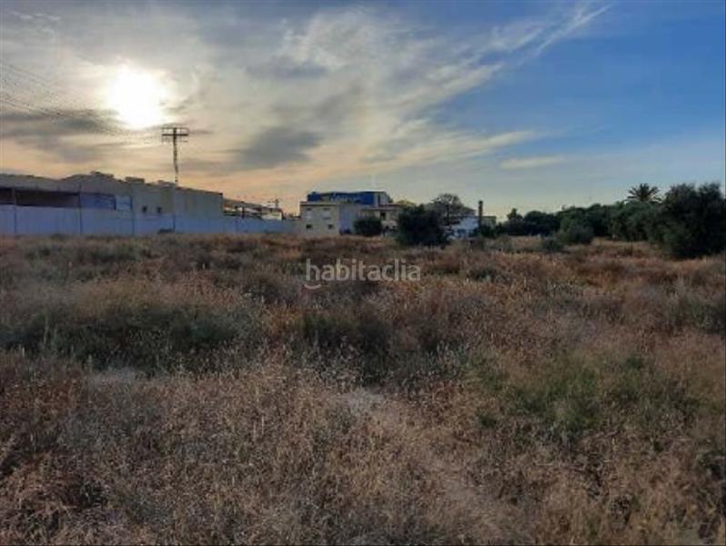 Foto 8b6abff6-d22f-4f52-ad6f-b45533ad2caf. Finca rústica a Ciudad de Asís Alicante