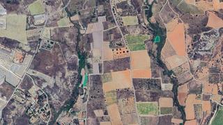 Finca rústica  Partidas recholar y marjal. Solvia inmobiliaria  suelo rústico monserrat