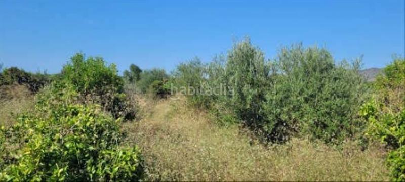 Foto 1098eb6c-06b9-42c3-96e1-a602f8dcb2dc. Propriété dans Sueca Sueca