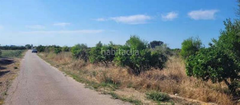 Foto 8921cbaf-8151-44cc-852c-b9d027b23868. Propriété dans Sueca Sueca