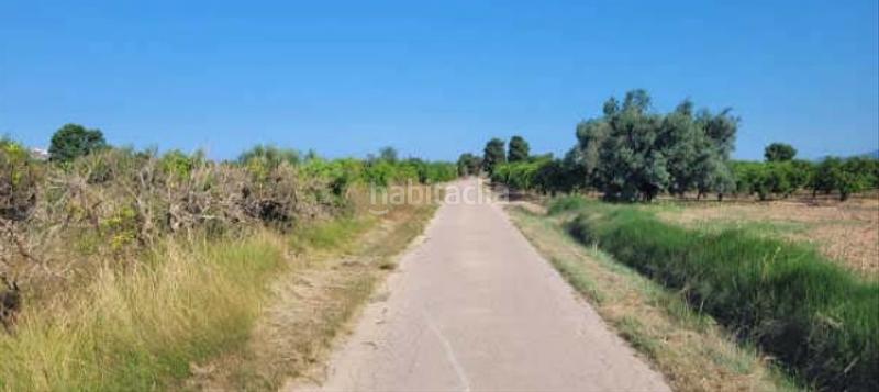 Foto ad34e525-2eba-4e5c-bdcd-869e9a20317b. Propriété dans Sueca Sueca