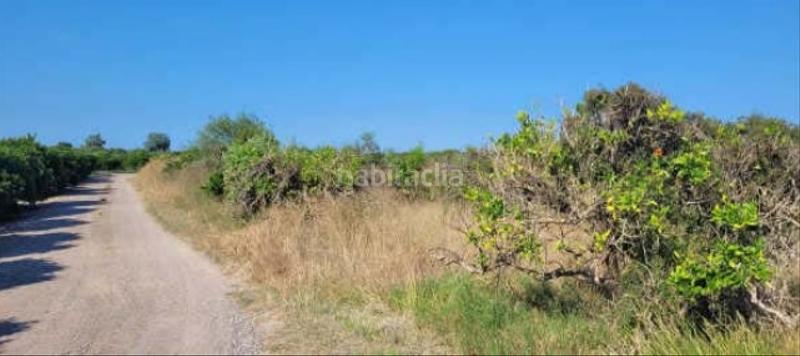 Foto f32ad39d-514e-4ec0-8c6c-83435f69d739. Propriété dans Sueca Sueca