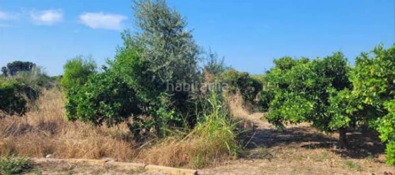 Foto fcc124c2-69c0-424d-a94c-817a1a2e75b5. Propriété dans Sueca Sueca