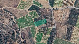 Finca rústica  Partida cárcel. Solvia inmobiliaria  suelo rústico saguntosagunt