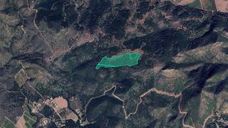 Finca rústica  Partida chocainet. Solvia inmobiliaria  suelo rústico albalat dels tarongers