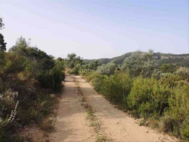 Foto 0ba7a8d9-4756-4596-abf7-f6546cb783b2. Finca rústica a Jalance