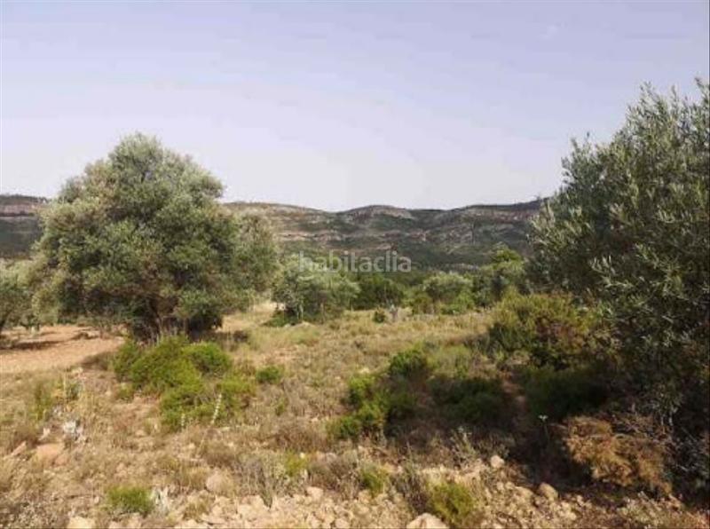 Foto 0fcbd75d-c0f5-4283-bd00-881b59e1faa8. Finca rústica a Jalance