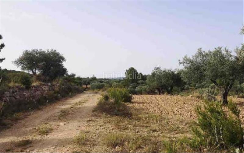 Foto 1a7663cc-96b1-4f0f-897d-c75436dac287. Finca rústica a Jalance