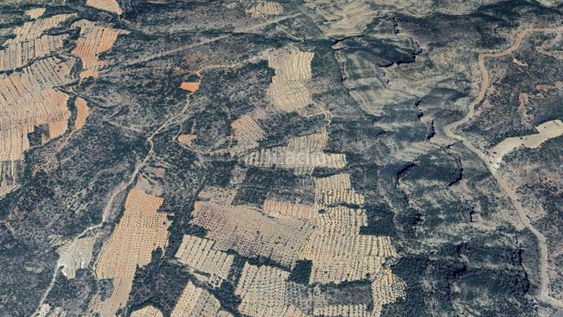 Foto 724ea6cd-4486-4b63-b25c-049135c1c921. Finca rústica a Jalance