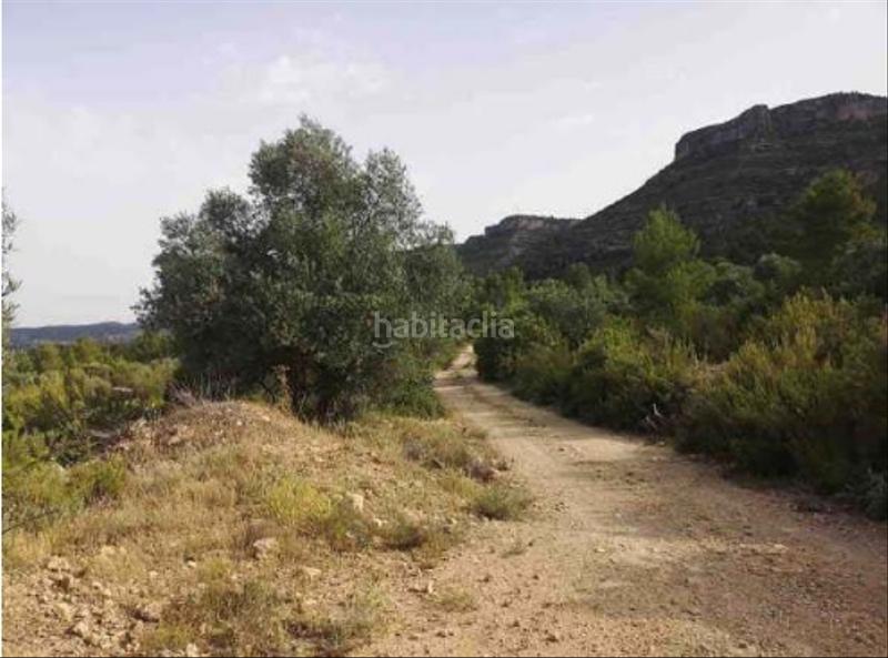 Foto 9df14d4e-40a1-47a7-a8d3-c59bf2bd3ec7. Finca rústica a Jalance