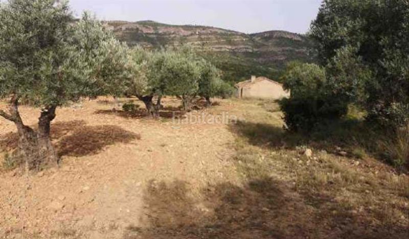 Foto fc42de42-782f-4651-9bd1-4f3e032a2495. Finca rústica a Jalance