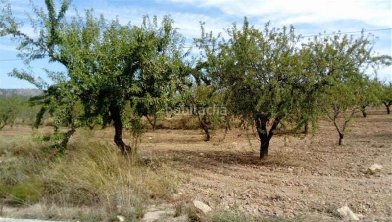 Foto 15189320-8d1b-4567-9fe7-59f3f4ddfcc1. Finca rústica solvia inmobiliaria suelo rústico en Mula