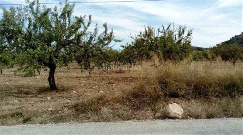 Foto 3dae27c0-eb9c-4f91-8687-0c45a9677013. Finca rústica solvia inmobiliaria suelo rústico en Mula